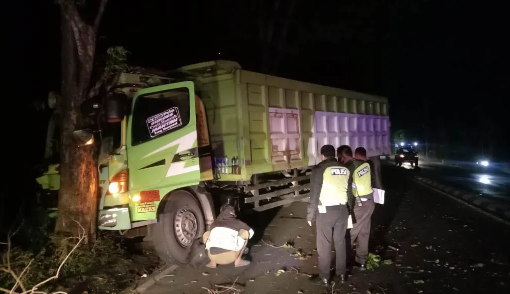 Truk Jumbo Seruduk Tiang Lampu PJU dan Pohon di Sukodono Lumajang