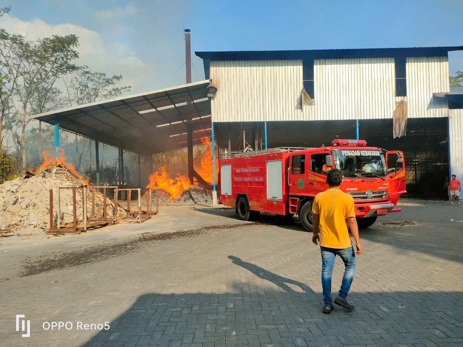 Pabrik Triplek di Klakah Lumajang Terbakar, Ini Penyebabnya