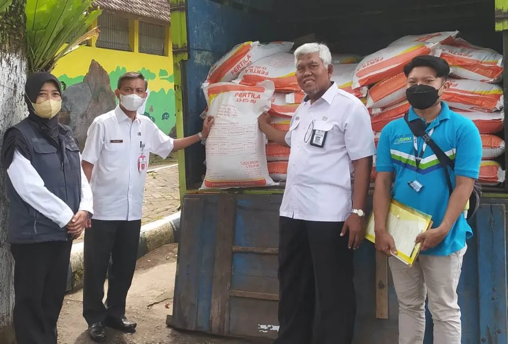 Petanian Tembakau Lumajang Dapat Bantuan PUPUK dari DBHCT
