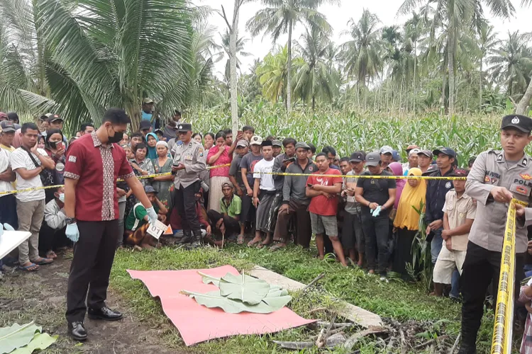 Pelaku Pembunuh Janda Muda di Randuagung Lumajang Masih Belum Tertangkap
