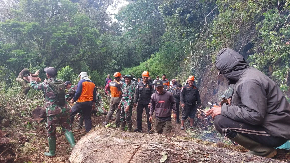Akibat Cuaca Ekstrem, Pohon Tumbang Menutup Jalan di Kawasan TNBTS Ranupane Lumajang