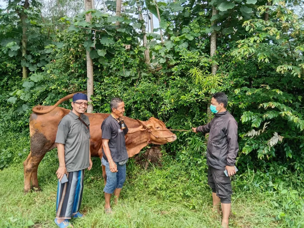 Polisi Serta Warga Desa Tempeh Kidul Lumajang, Gagalkan Aksi Pencurian Sapi