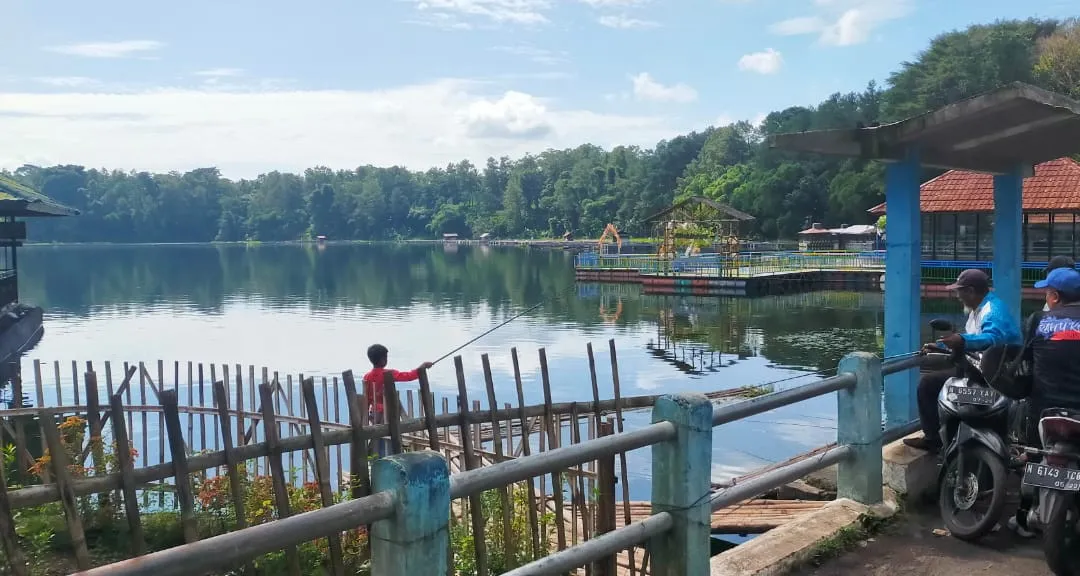 Ranu Klakah Surganya Pemancing Lumajang Dipenuji Ikan Louhan
