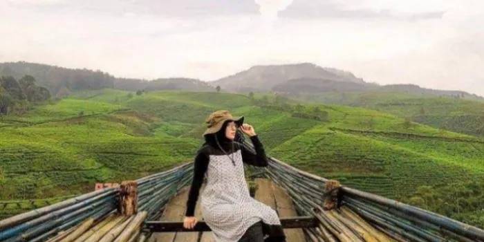 Wisata Kebun Teh Gucialit Lumajang Cocock Untuk Menghilagkan Stres