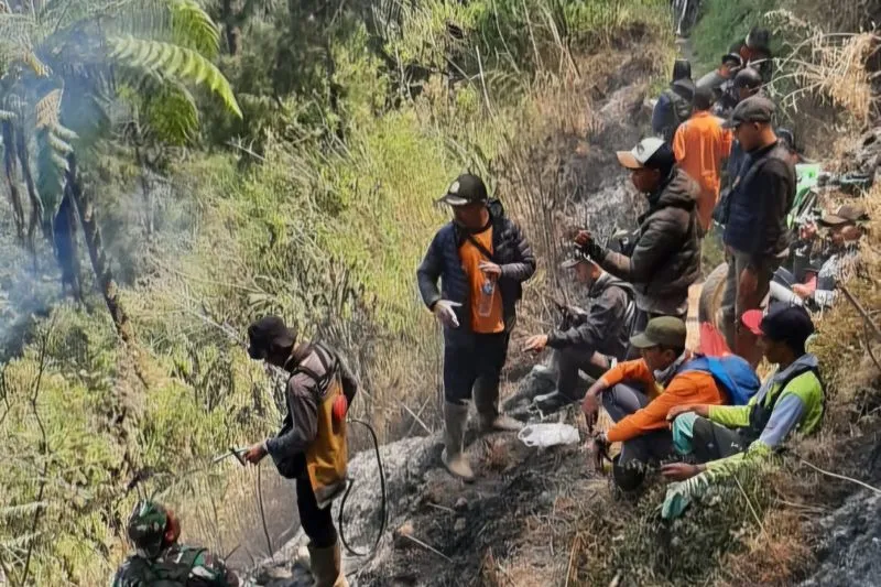 Kebakaran Hutan di Lumajang Petugas Berjibaku Padamkan