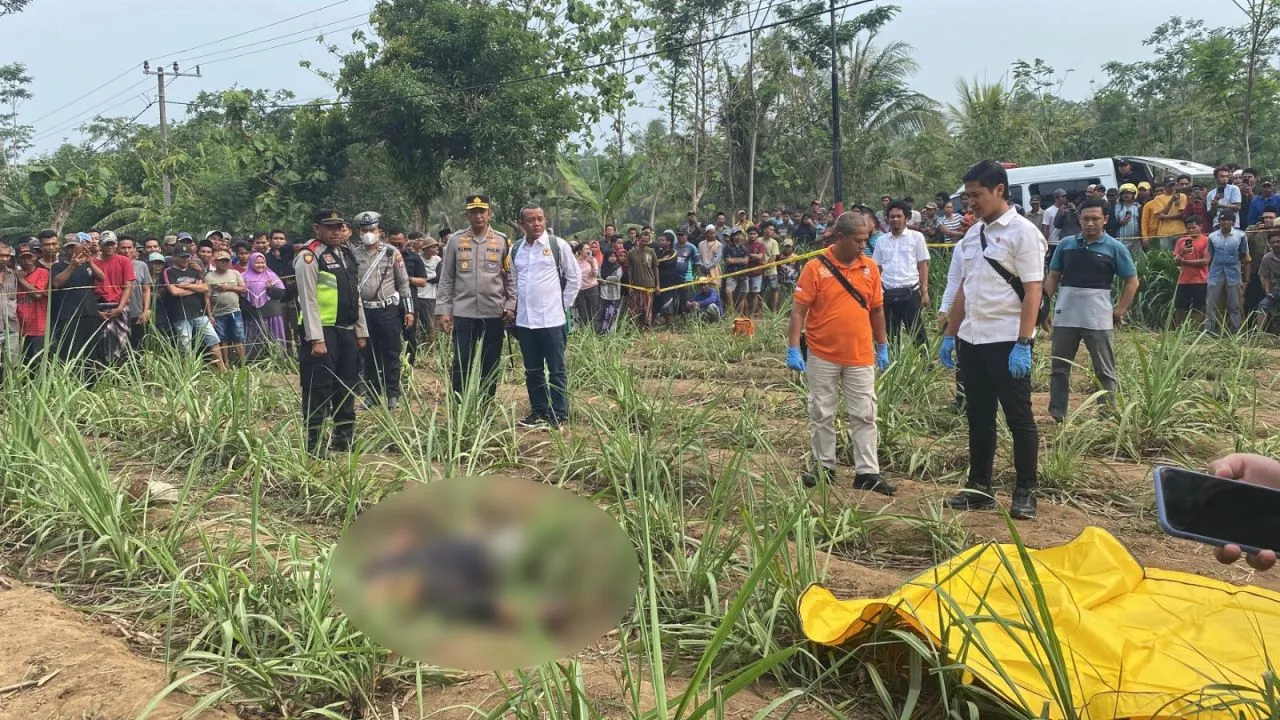 Polres Lumajang Dalami Motif Pembunuhan di Kebun Tebu Ranuyoso Lumajang