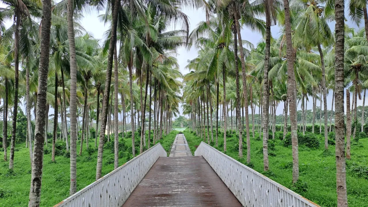 Sangat Instagramable, Boardwalk Selokambang Lumajang Sudah Selesai Diperbaiki