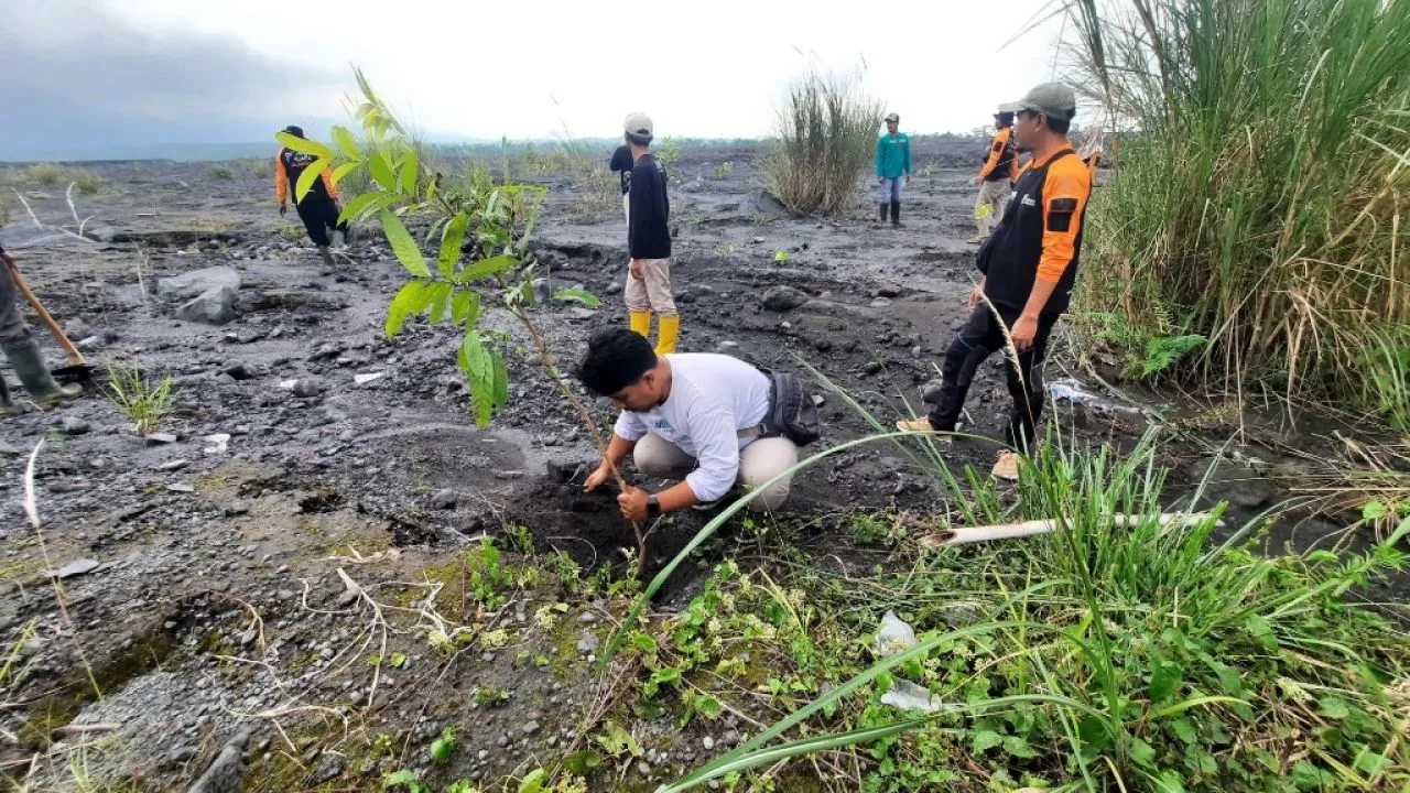 Dari Abu Menjadi Harapan: Rehabilitasi Semeru Gandeng Komunitas Lokal
