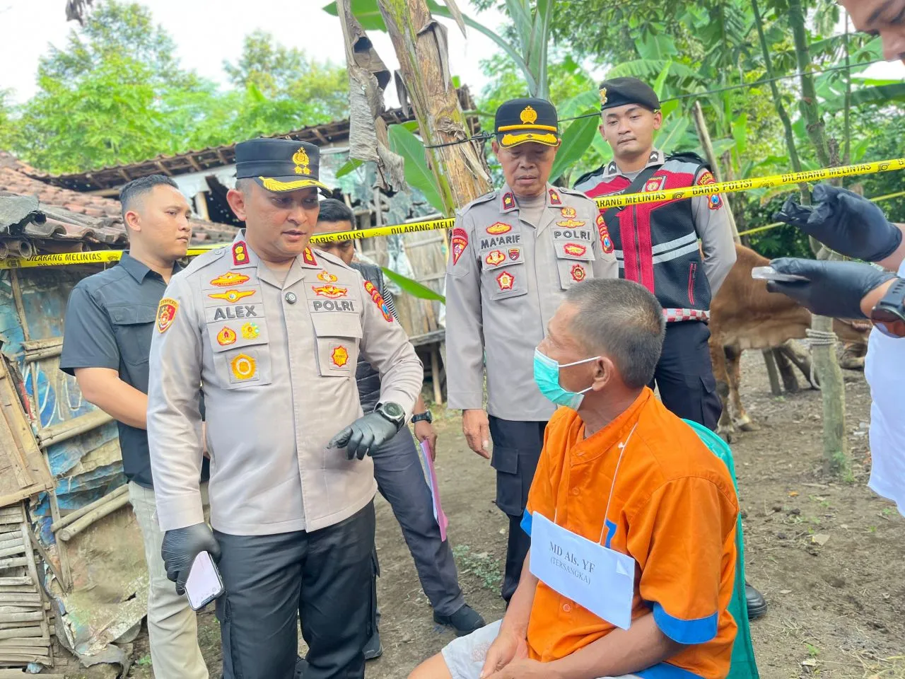 Yusuf Empat Kali Masuk Penjara, Tak Jera Mencuri Sapi di Lumajang
