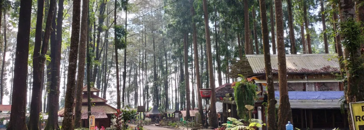 Keindahan Siti Sundari, Wisata Alam Asri di Lereng Semeru Lumajang
