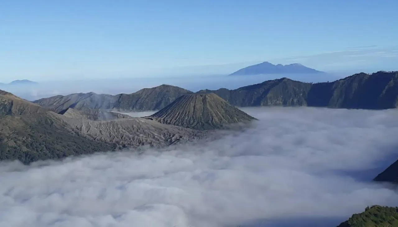 Pesona Puncak P30, Surga Tersembunyi di Kaki Bromo probolinggo