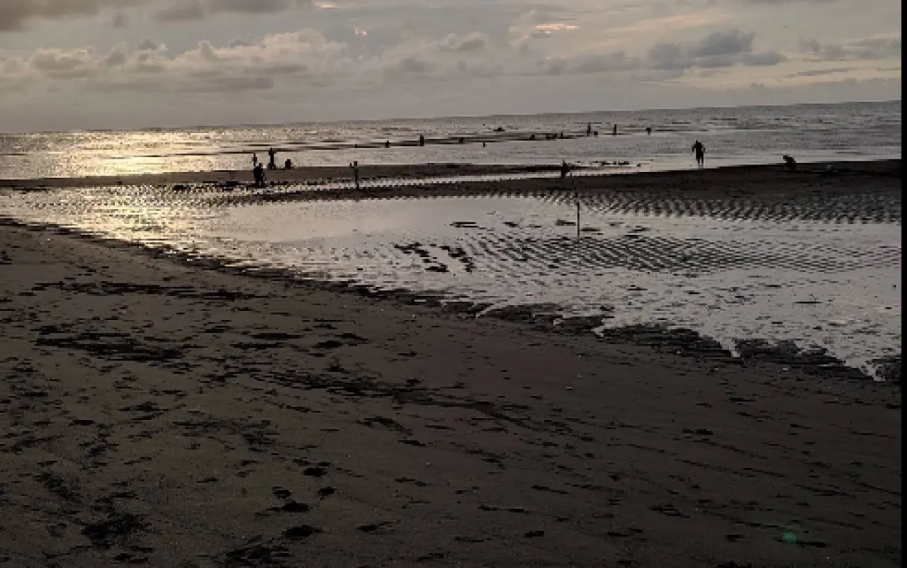 Pantai Duta, Pesona Mangrove dan Pasir Hitam di Pesisir Probolinggo