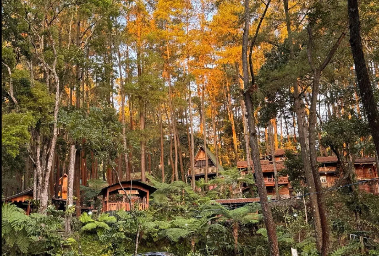 Wisata Alam De Picnic, Tempat Piknik Modern di Tengah Sejuknya Prigen Pasuruan