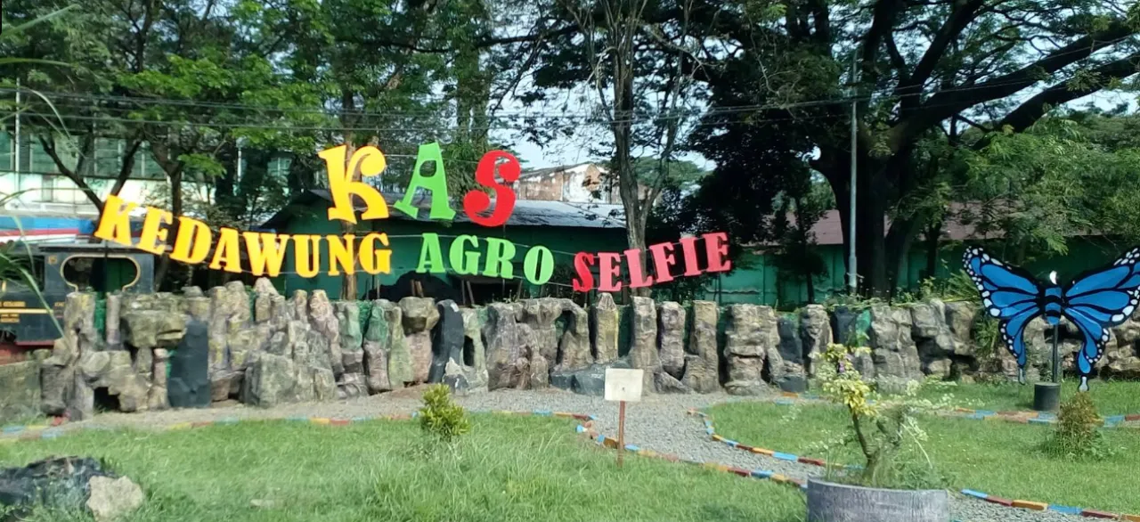 Kedawung Agro Selfie, Wisata Kekinian di Tengah Perkebunan Pasuruan