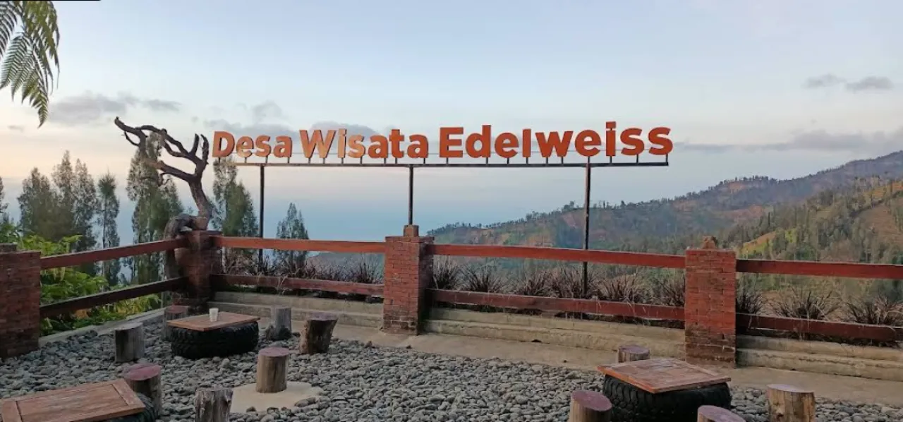 Taman Edelweiss Wonokitri Pasuruan, Surga Bunga di Lereng Bromo