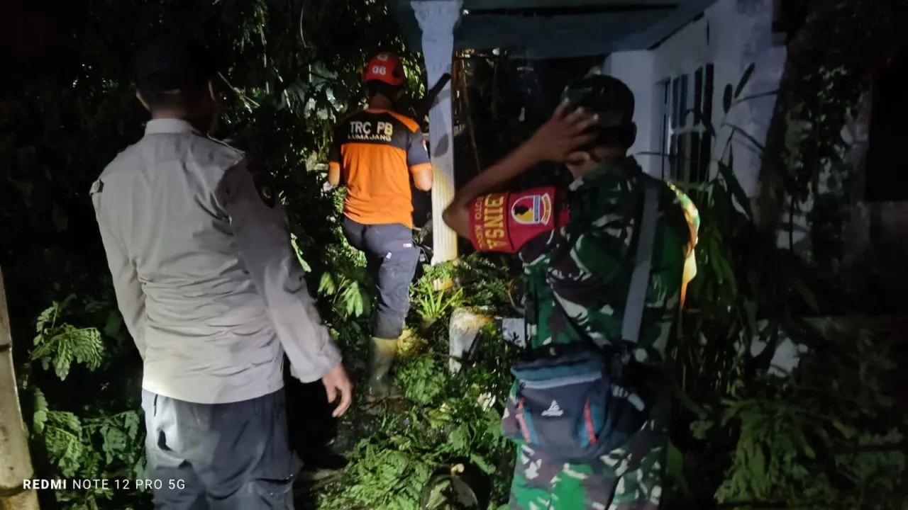 Polisi, TNI, dan BPBD Lumajang Evakuasi Pohon Tumbang Timpa Rumah Warga di Jatiroto