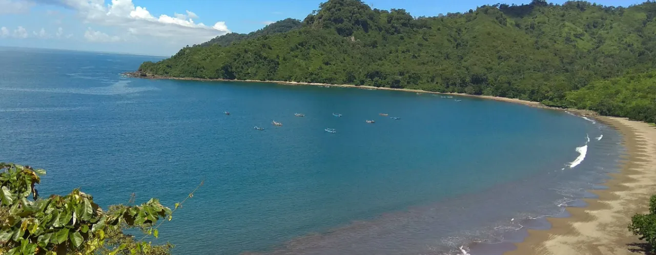 Menyapa Alam Liar di Taman Nasional Meru Betiri, Surga Keanekaragaman Hayati di Ujung Timur Jawa