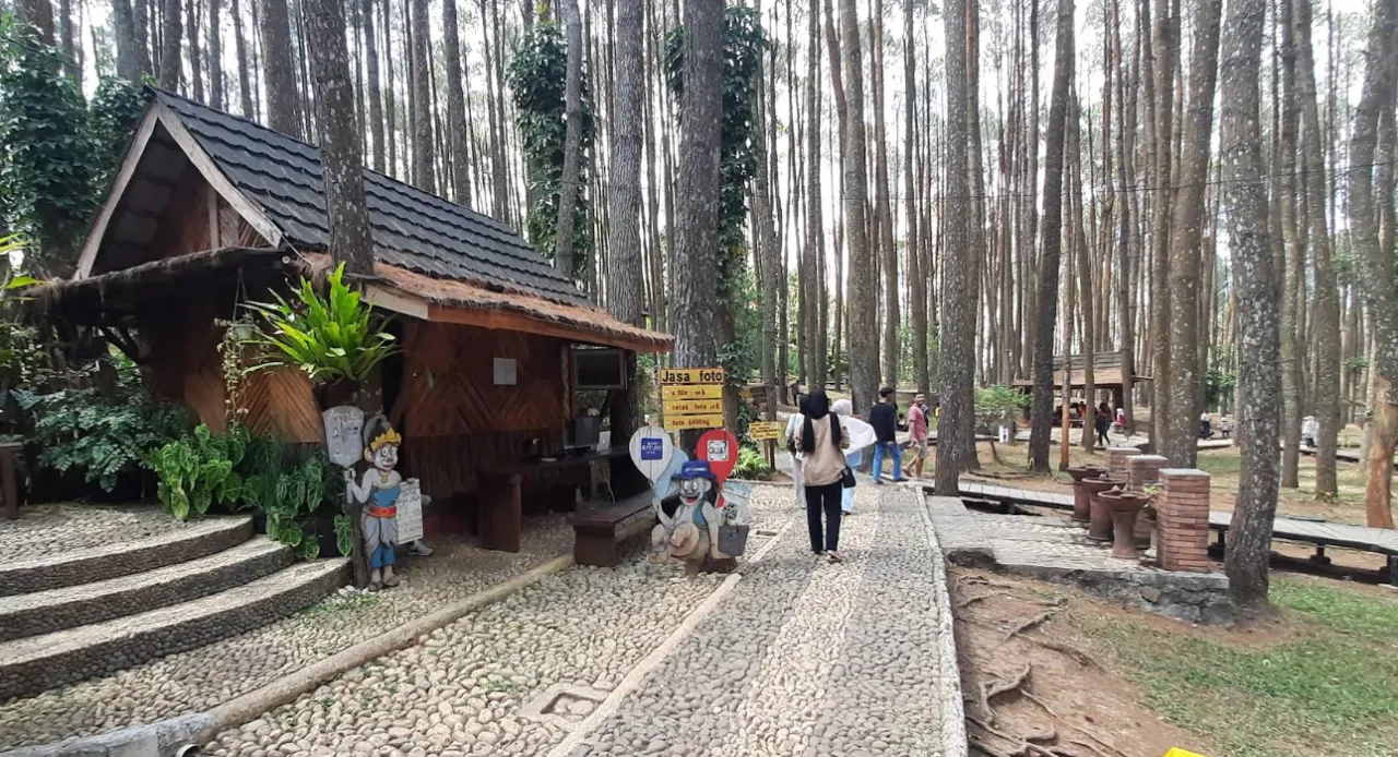 Menyapa Alam di Hutan Pinus Mangunan, Destinasi Sejuk dan Fotogenik di Bantul Yogyakarta