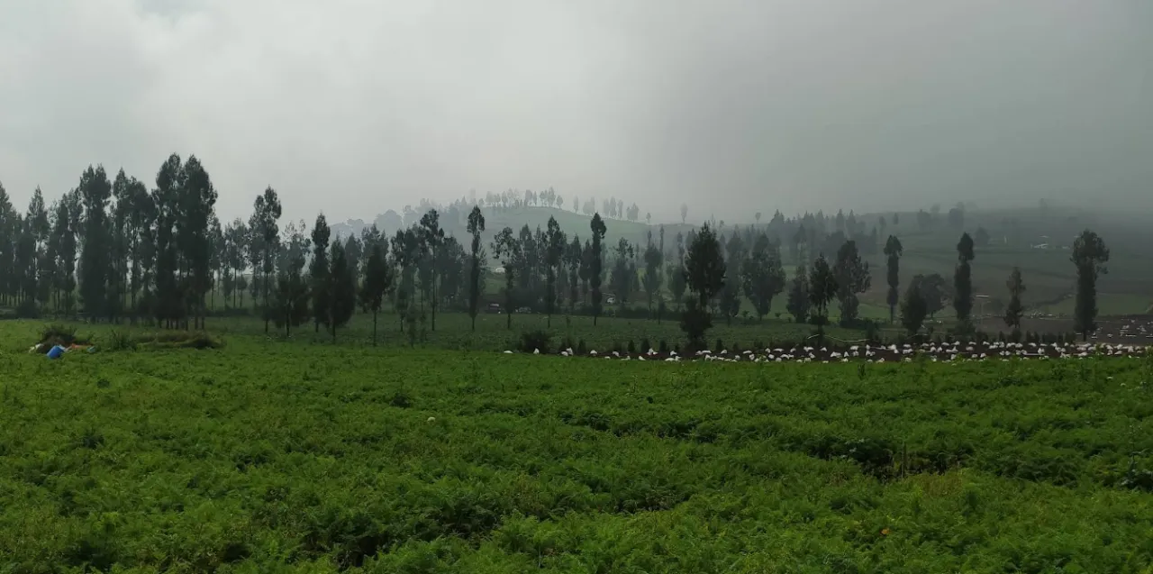 menyapa Awan di Puncak Brakseng, Surga Tersembunyi di Ketinggian Kota Batu