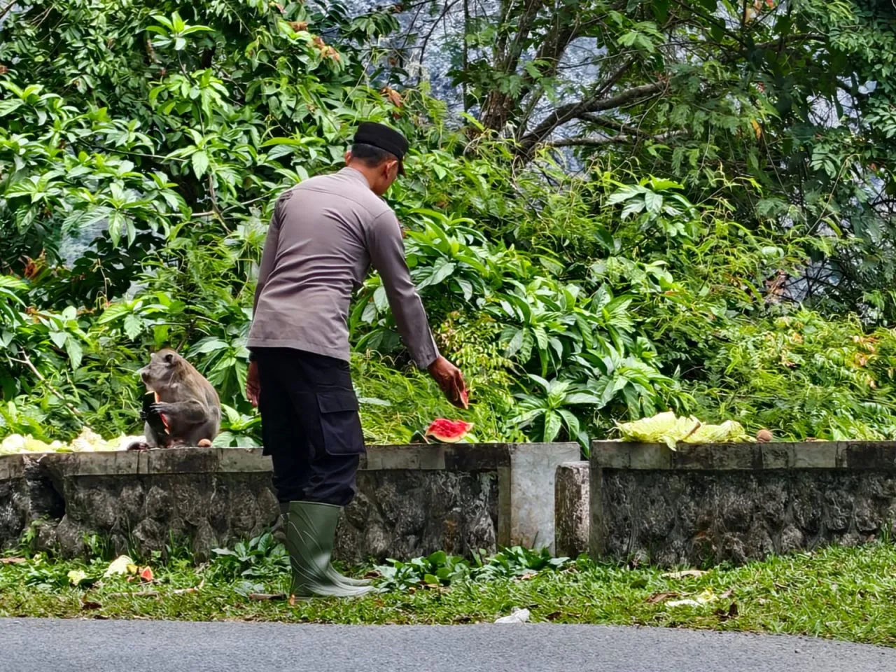Peduli Satwa Liar, Polisi Beri Makan Monyet Kelaparan di Sumberwuluh Lumajang