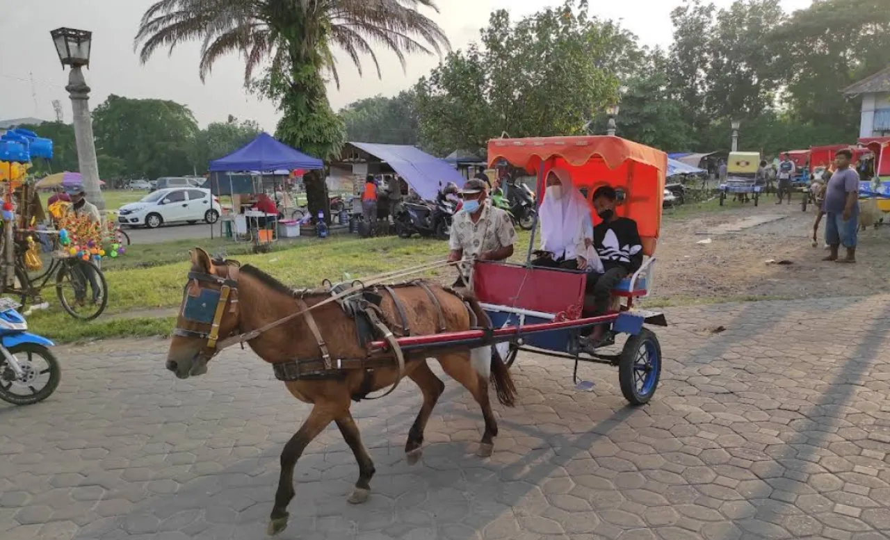 Alun-Alun Kidul Surakarta, Ruang Publik Paling Hangat untuk Menikmati Malam di Kota Solo Surakarta