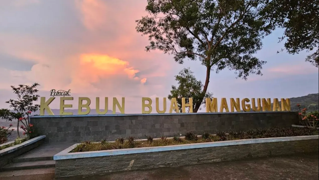 Menikmati Keindahan Alam dari Ketinggian di Kebun Buah Mangunan Bantul Yogyakarta