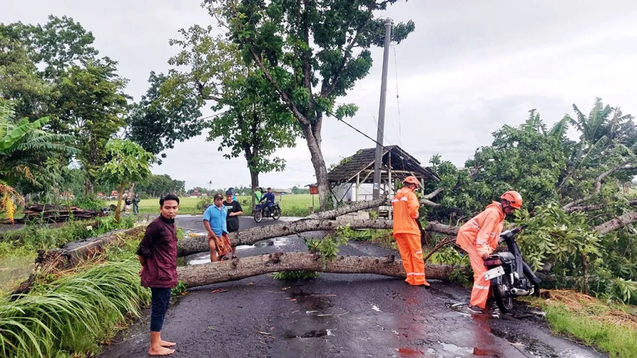 Hujan Deras dan Angin Kencang Mengamuk di Rowokangkung, 17 Rumah Rusak dan Listrik Padam