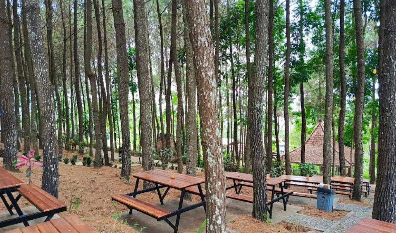 Hutan Pinusan Gogoniti, Wisata Alam Sejuk di Lereng Blitar