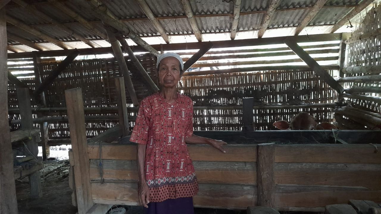 Pencurian Ternak Kembali Terjadi di Kalipenggung Lumajang, Dua Ekor Sapi Raib