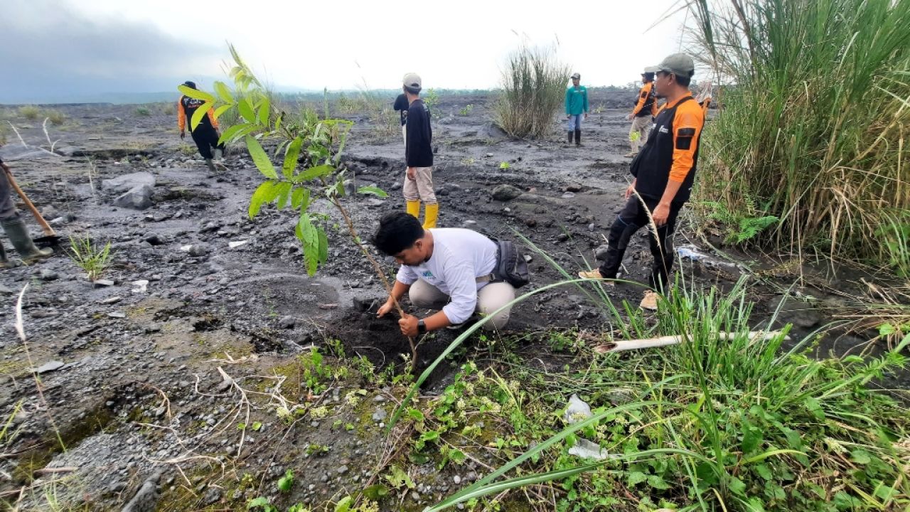 Dari Abu Menjadi Harapan: Rehabilitasi Semeru Gandeng Komunitas Lokal