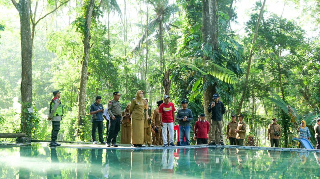 Bupati Lumajang Dorong Transformasi Wisata Desa, Sumber Randu Pinus Jadi Contoh Nyata