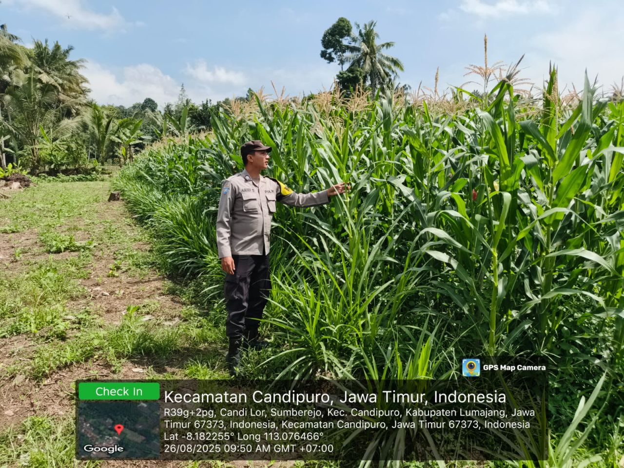 Polisi Tak Hanya Jaga Kamtibmas, Polsek Rowokangkung Buktikan Bisa Jadi Petani