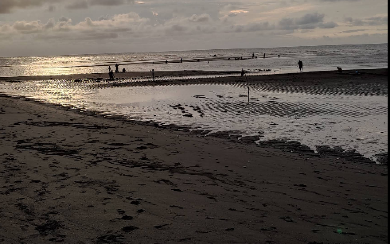Pantai Duta, Pesona Mangrove dan Pasir Hitam di Pesisir Probolinggo