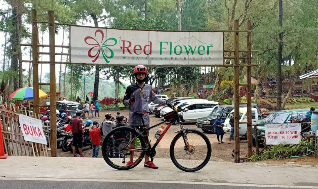Bukit Red Flower, Hamparan Bunga Merah yang Memikat di Puspo Pasuruan