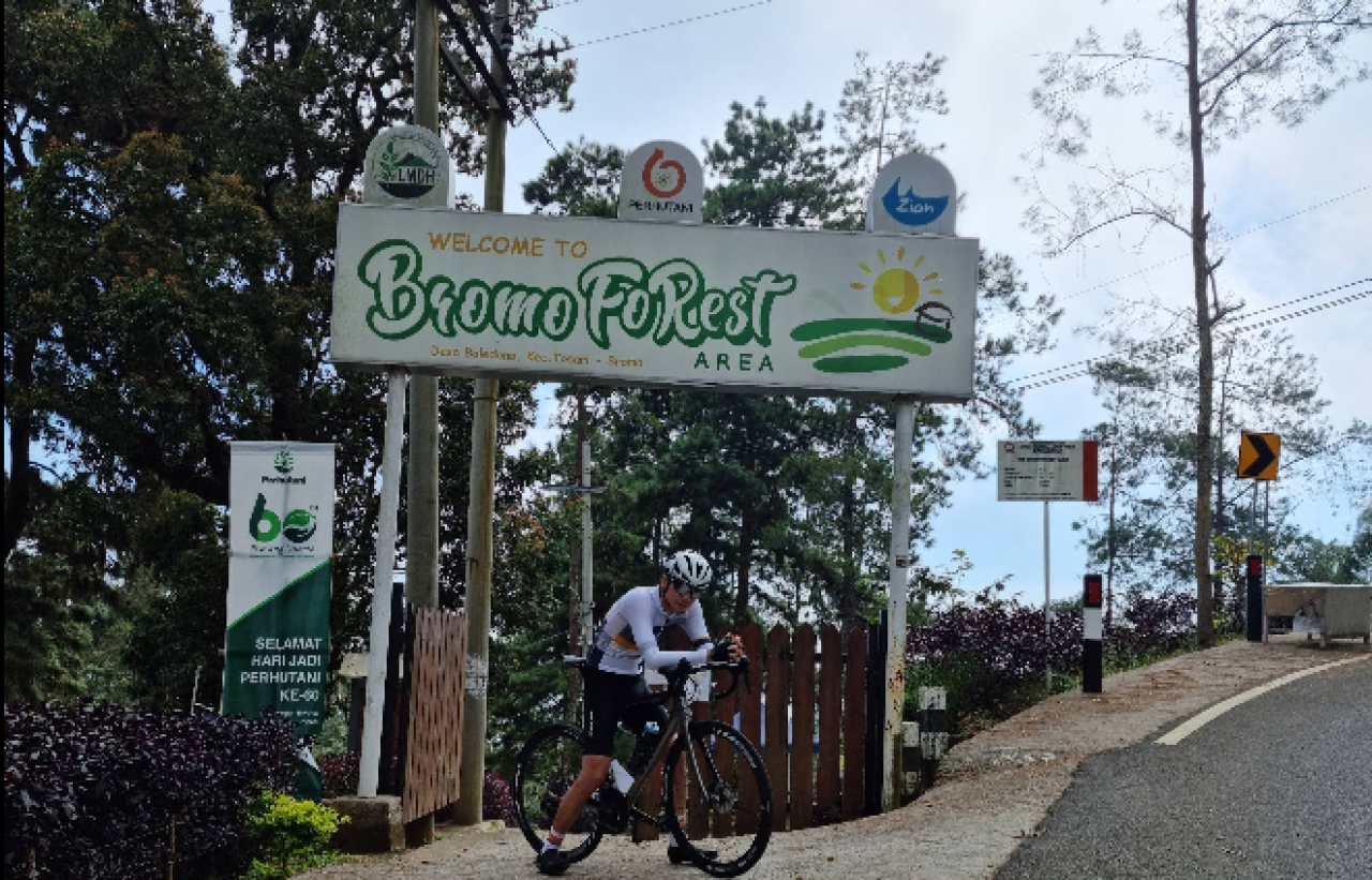 Bromo Forest Area Pasuruan, Wisata Hutan Asri di Lereng Gunung Bromo