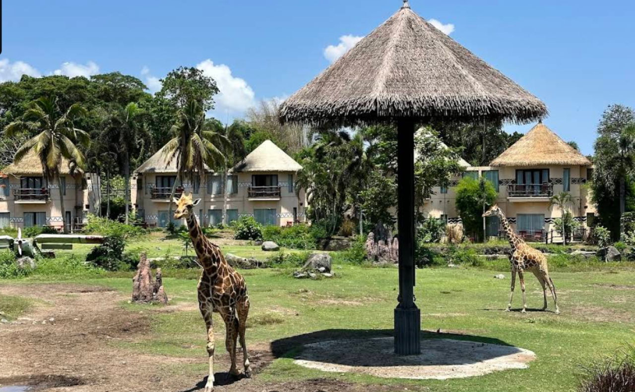 The Amazing Taman Safari Bali, Petualangan Alam dan Satwa di Pulau Dewata