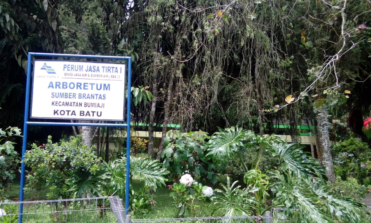 Menyatu dengan Alam di Arboretum Sumber Brantas, Surga Tersembunyi di Kota Batu