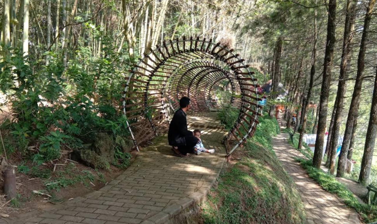 Menyusuri Keindahan Alam dan Spot Instagramable di Wisata Gussari Goa Pinus Batu