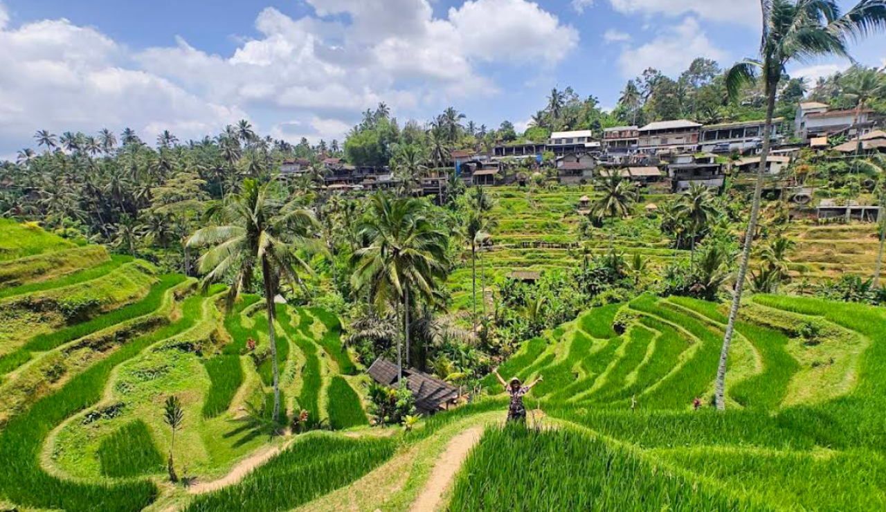 Tegallalang Rice Terrace Bali, Lukisan Alam Hijau yang Menenangkan di Ubud