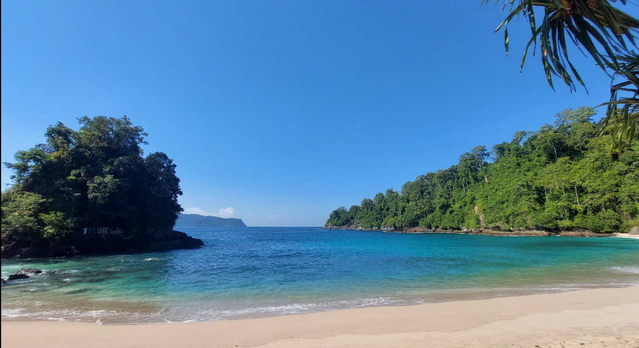 Teluk Hijau, Surga Tersembunyi dengan Pesona Alam Zamrud di Banyuwangi