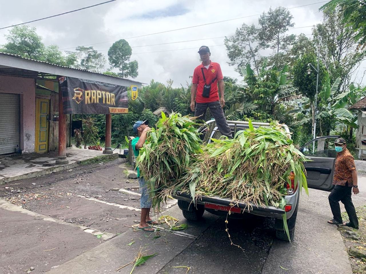 Pemkab Lumajang Percepat Penanganan Ternak Terdampak Erupsi Semeru
