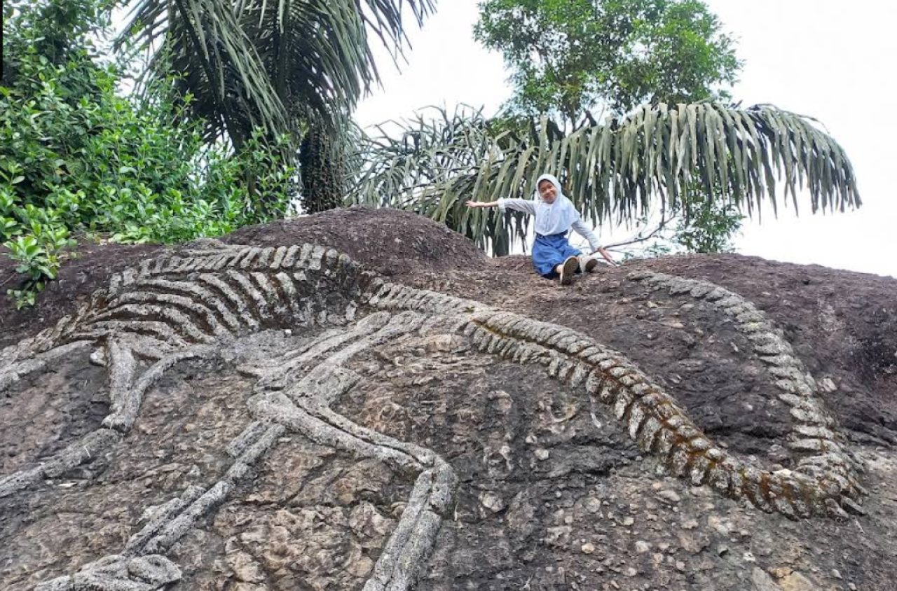Gunung Merapi Purba Nglanggeran, Destinasi Ekowisata yang Menawan di Gunungkidul Yogyakarta