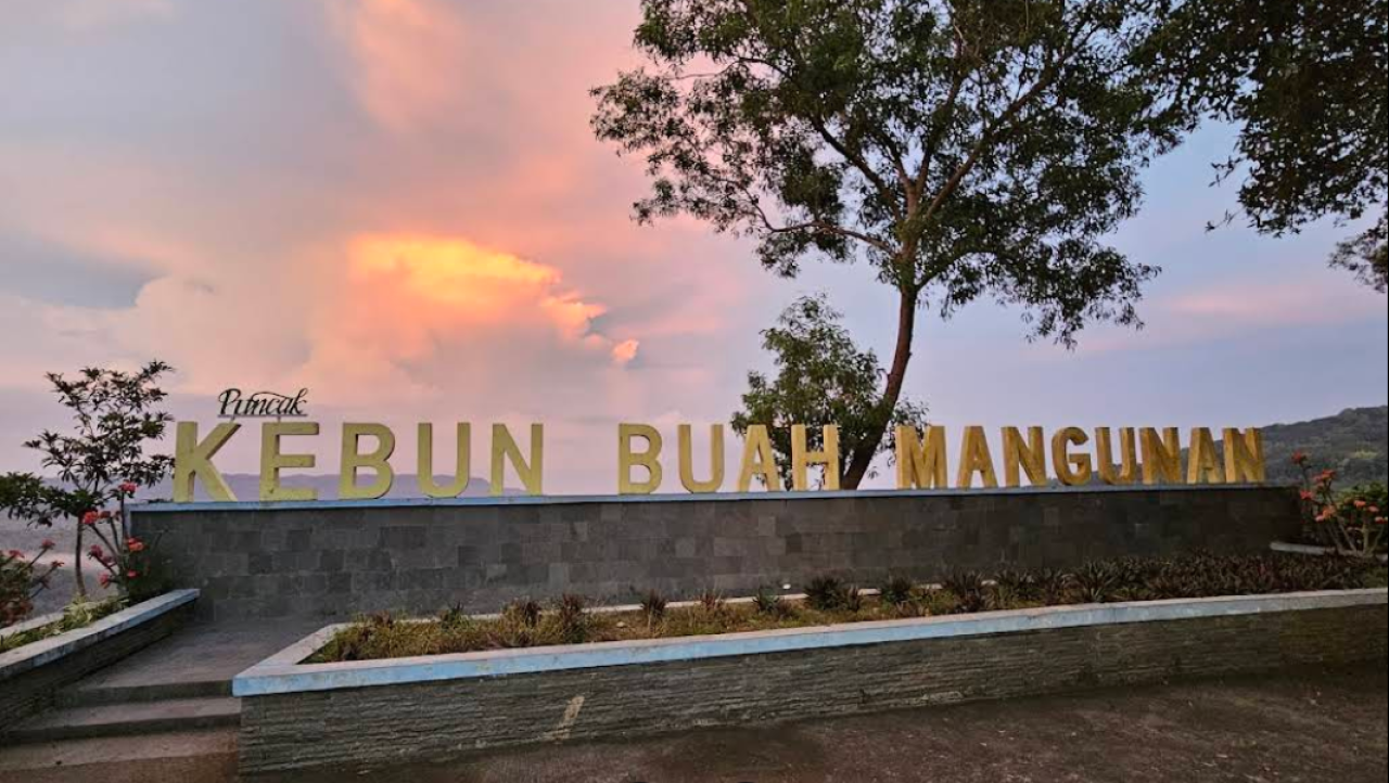 Menikmati Keindahan Alam dari Ketinggian di Kebun Buah Mangunan Bantul Yogyakarta