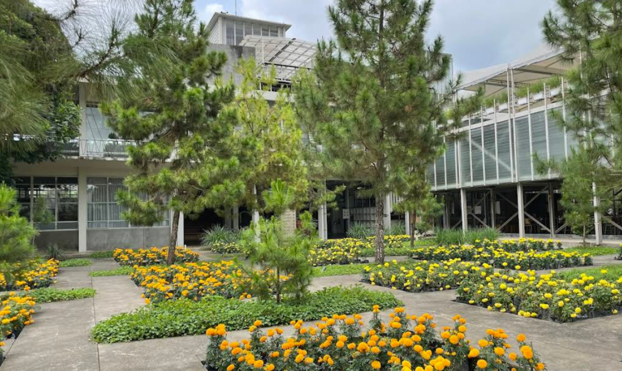 Rumah Atsiri Indonesia, Suasana Alam yang Menenangkan di Tawangmangu Karanganyar