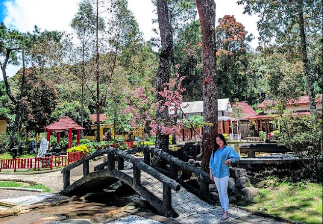 Sakura Hills Tawangmangun Karanganyar, Nuansa Jepang di Lereng Lawu yang Memikat Wisatawan