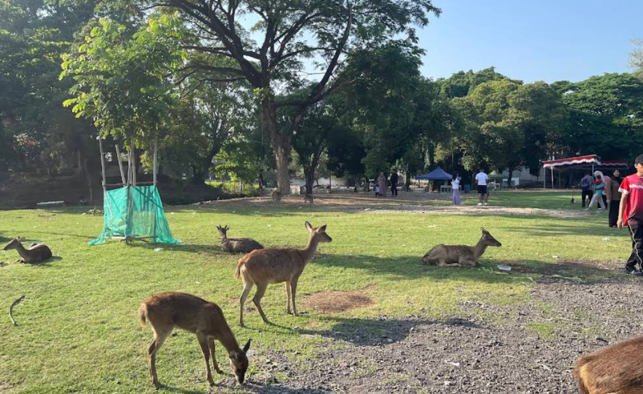 Taman Sriwedari Surakarta, Ruang Rekreasi Legendaris yang Tetap Jadi Primadona di Kota Solo