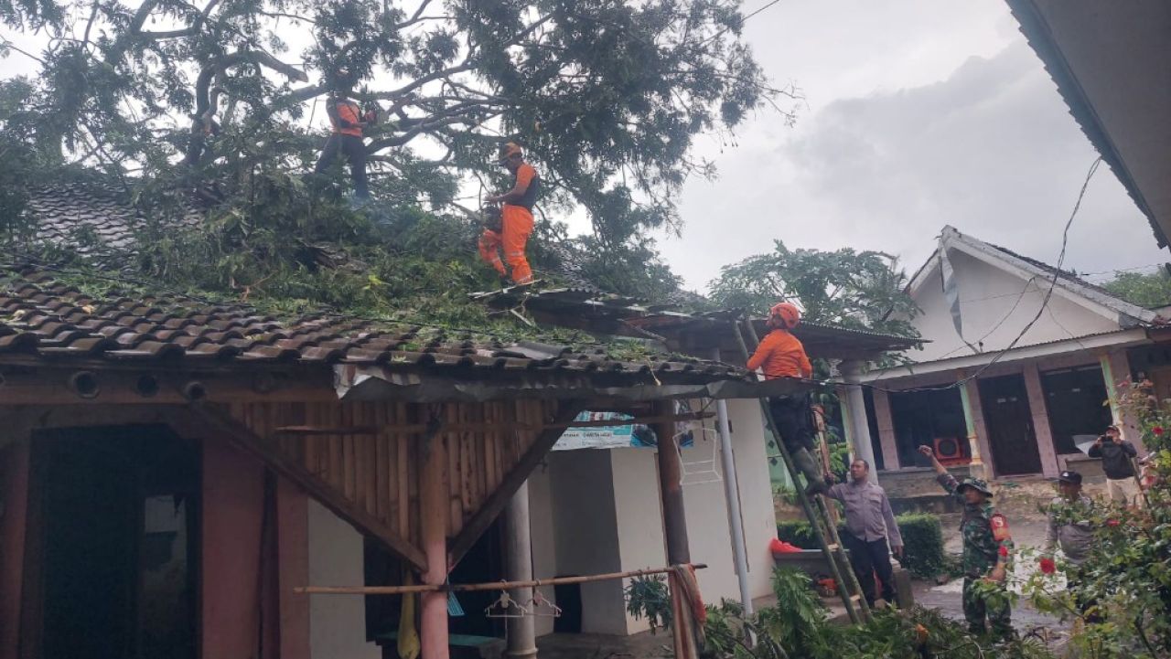 BPBD Lumajang Percepat Respons Darurat Usai Angin Kencang Terjang Klakah dan Gucialit