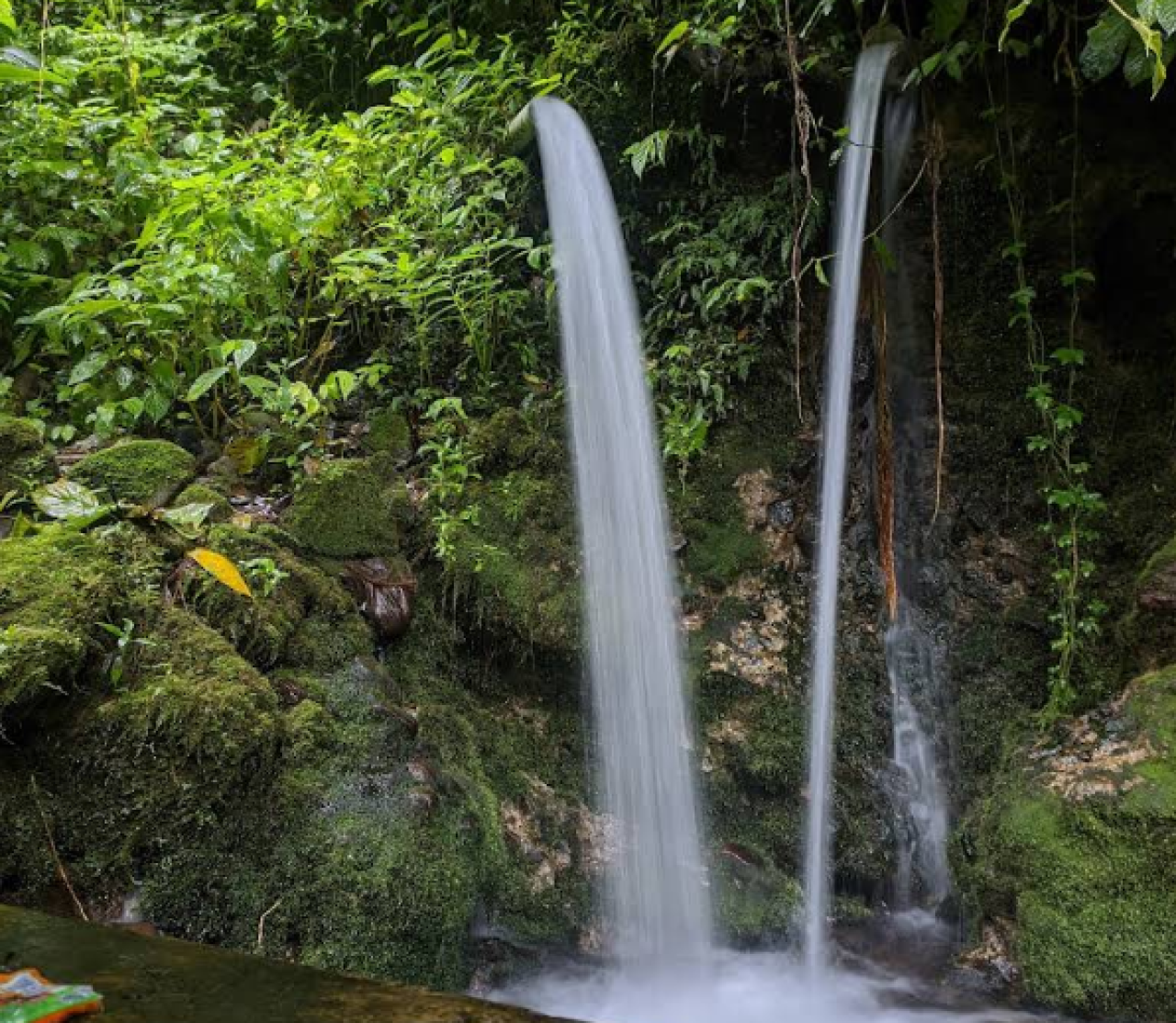 Keasrian Air Terjun Tlogo Wali (Pringgondani), Surga Tersembunyi di Hutan Lindung Lawu Karanganyar