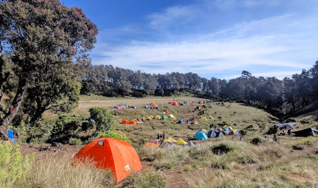 Wisata Gunung Butak yang sering dikunjungi banyak wisatawan untuk wisata petualangan dan pendakian, penelitian alam, serta fotografi lanskap (Gmap/erlang Dimas)