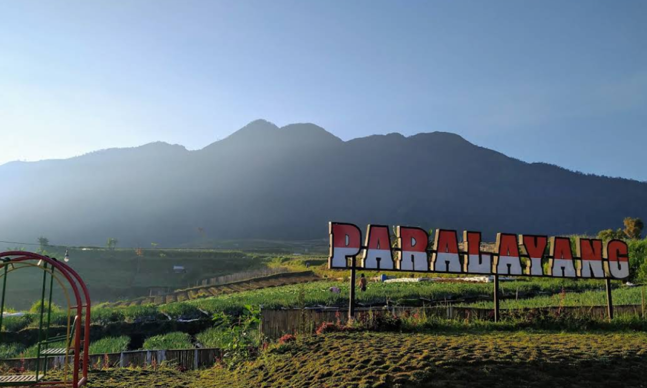 Paralayang Kemuning, Wisata Pemacu Adrenalin dengan Panorama Perkebunan Teh Kemuning Karanganyar